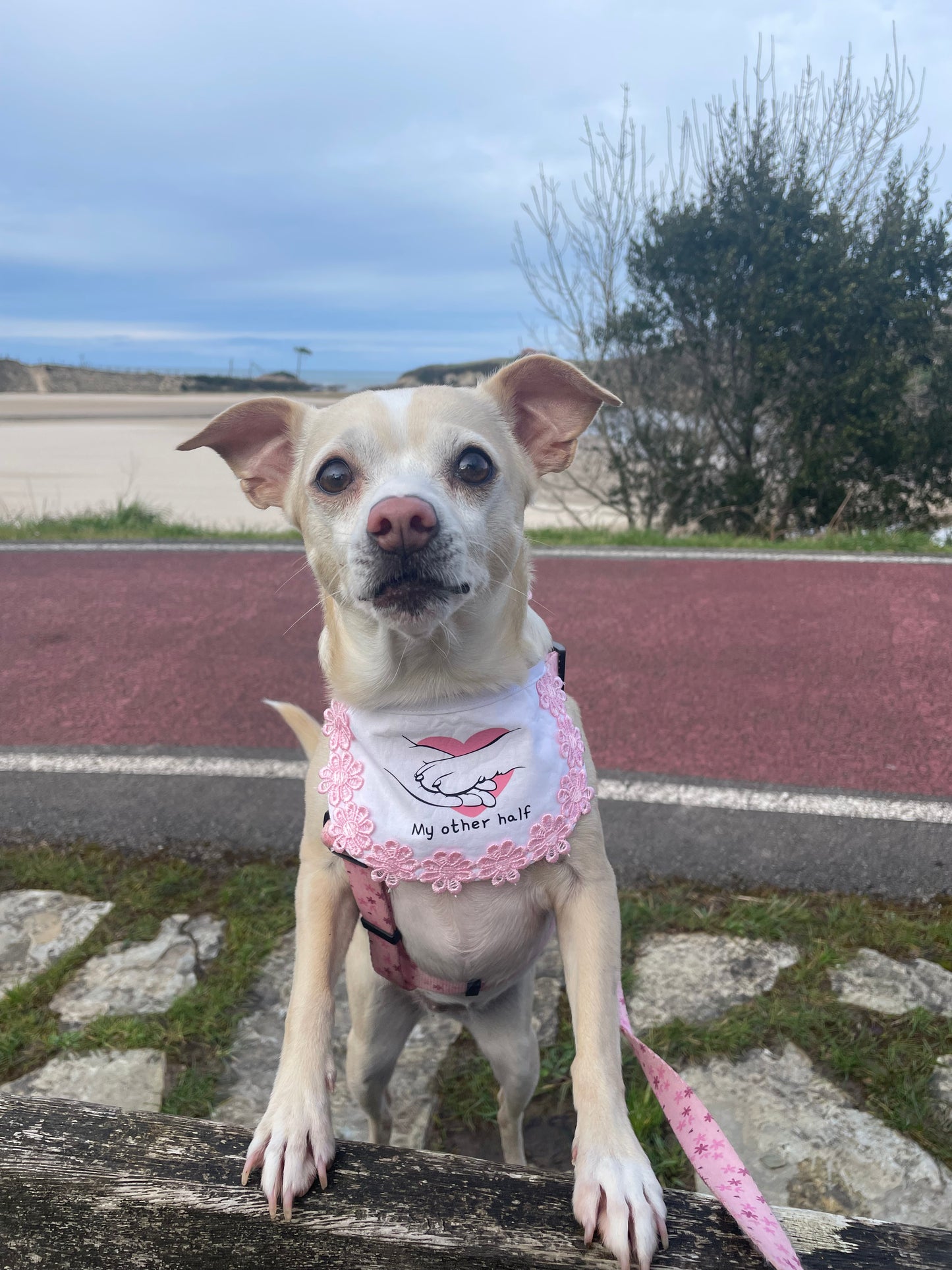 Bandana Babero Bibi- Flores rosas