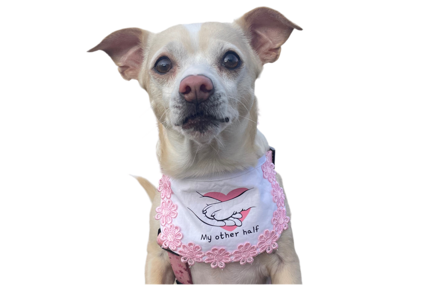 Bandana Babero Bibi- Flores rosas