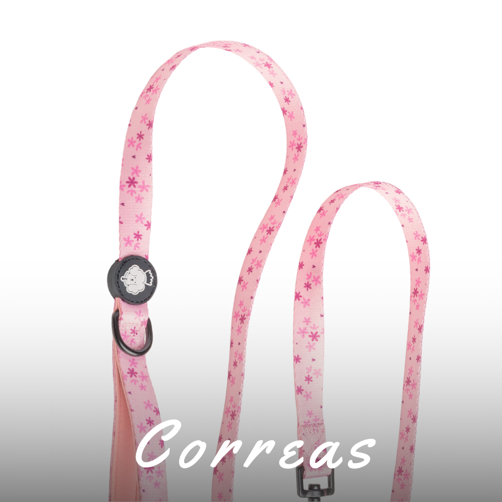 Correas