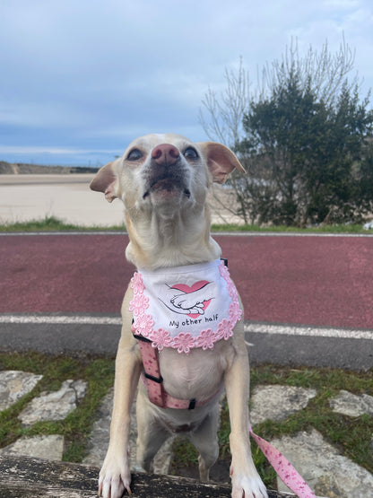 Bandana Babero Bibi- Flores rosas