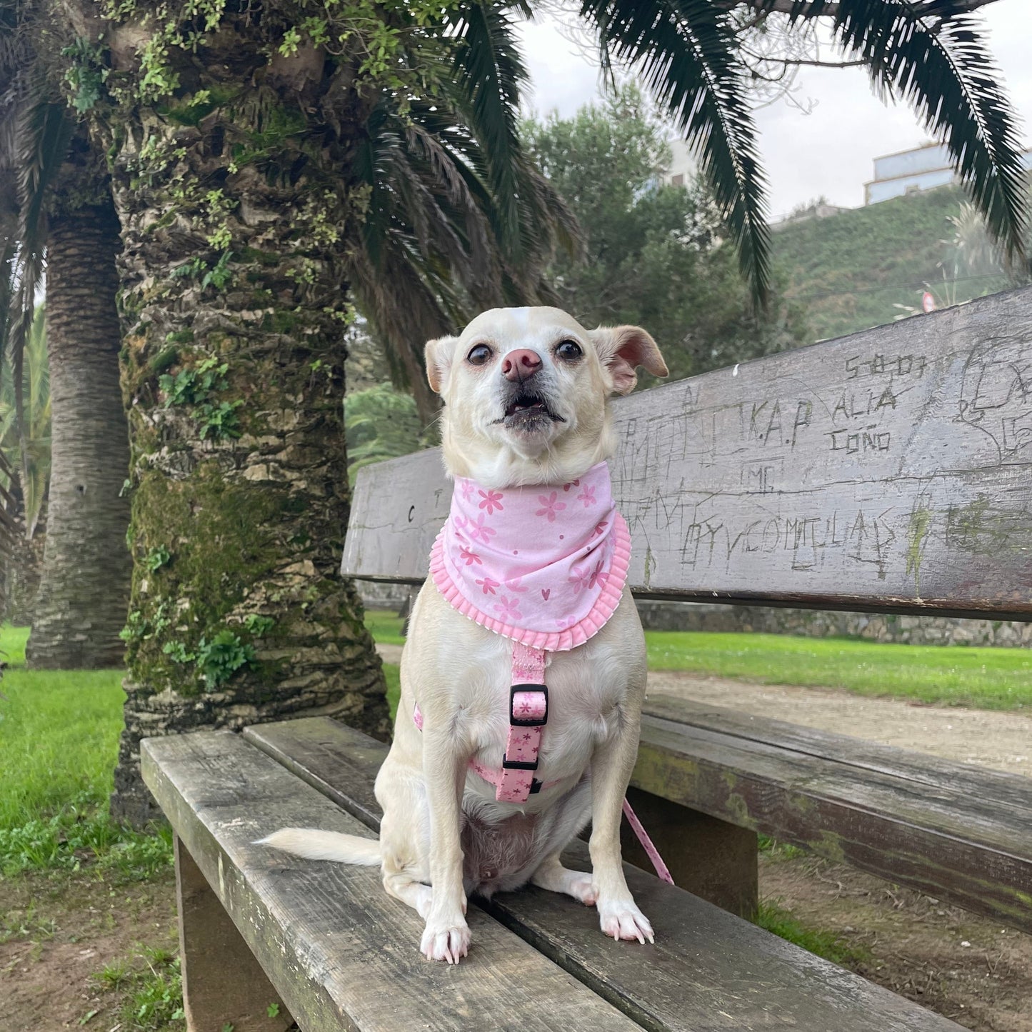 BANDANA VESTA- PINK PIPPA